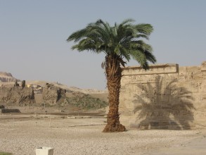 Temple de Louxor